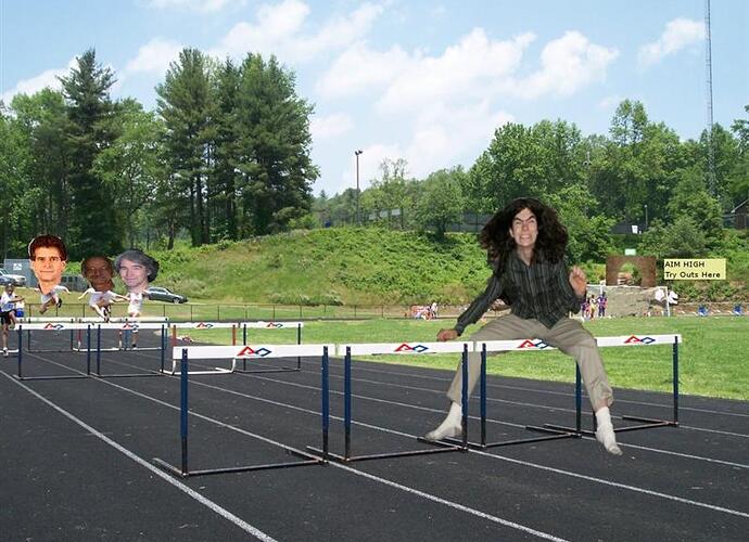 hurdles (Custom).jpg