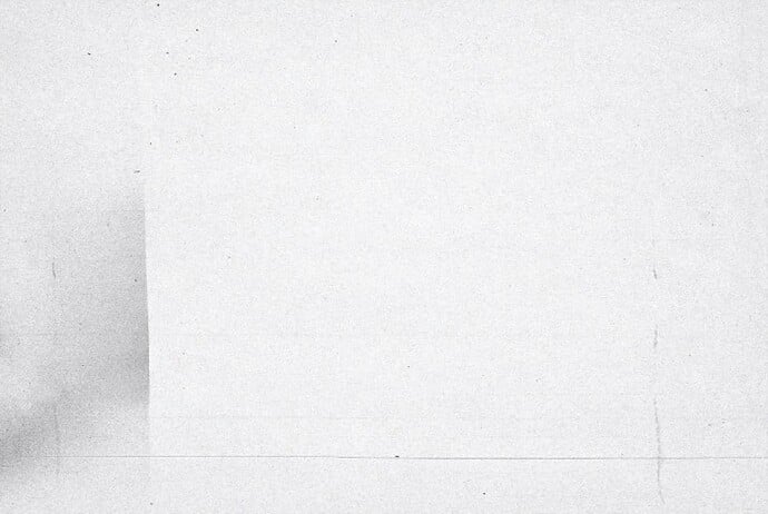 First in Show Film Texture-05