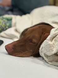 IMG_3502