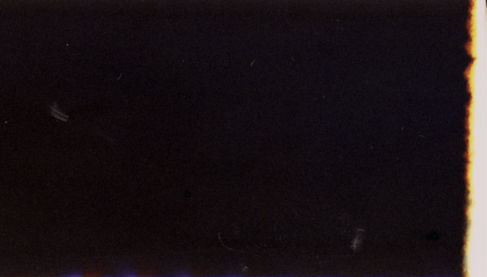 First in Show Film Texture-04