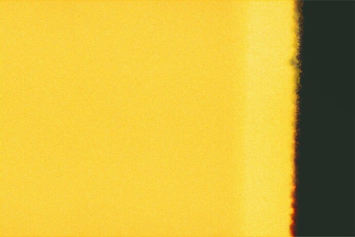 First in Show Film Texture-06