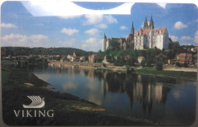 vikingJarl