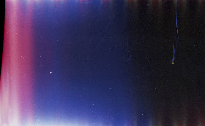 First in Show Film Texture-02