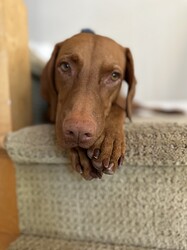 IMG_3520