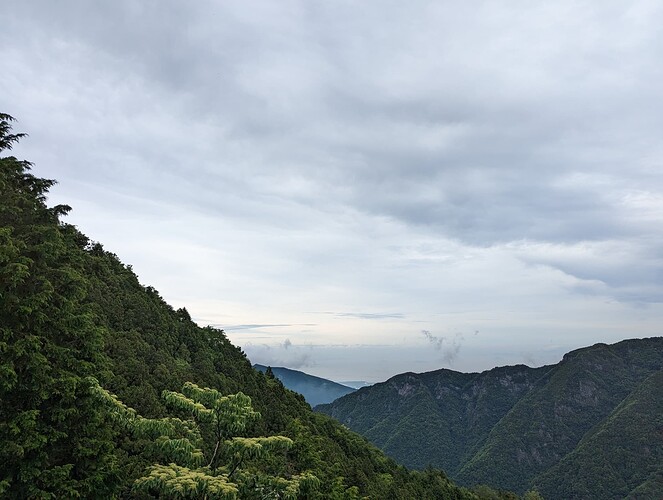 PXL_20230611_074243643
