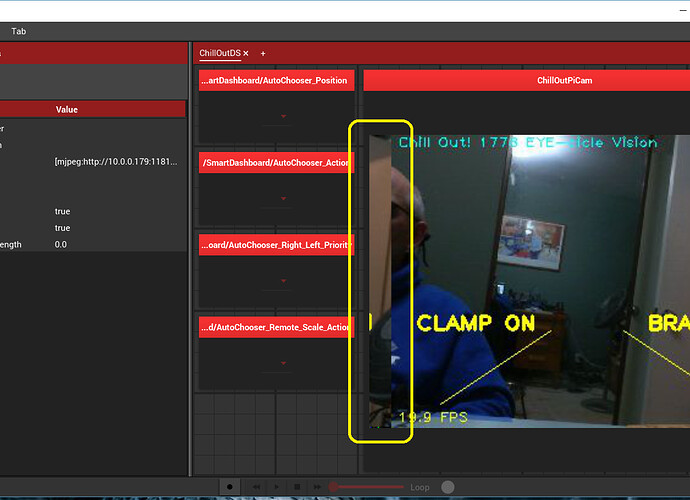 Shuffleboard_Cam_Bug.jpg