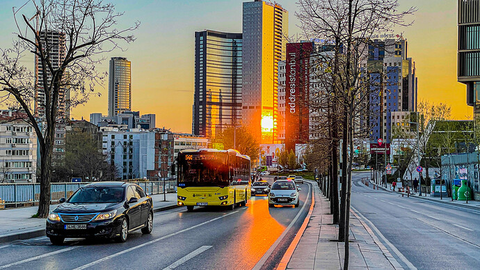 Moon Sunset Bus-6