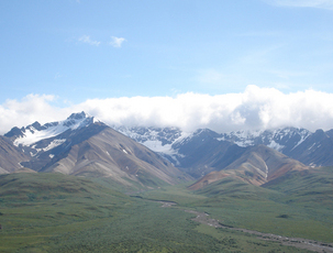 denali.jpg
