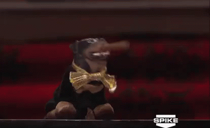 i-kid-triump-the-insult-dog