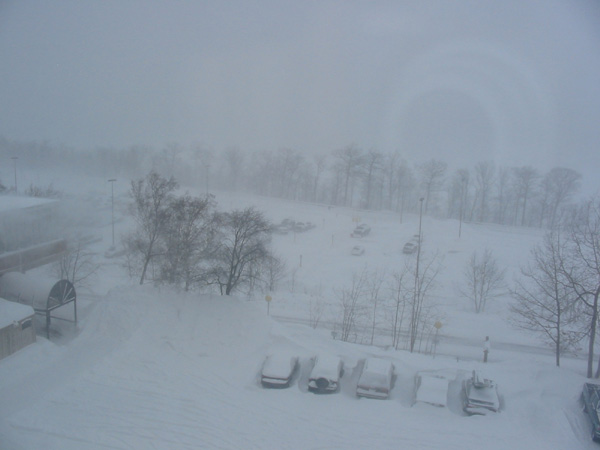 snow small.jpg
