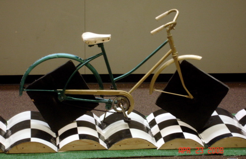 finalbike.jpg