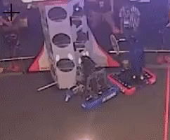 com-video-to-gif
