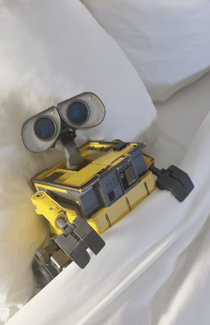 WALL-E_sleeping