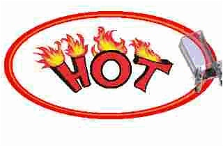 hot team logo usable.jpg