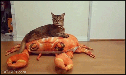 Crab
