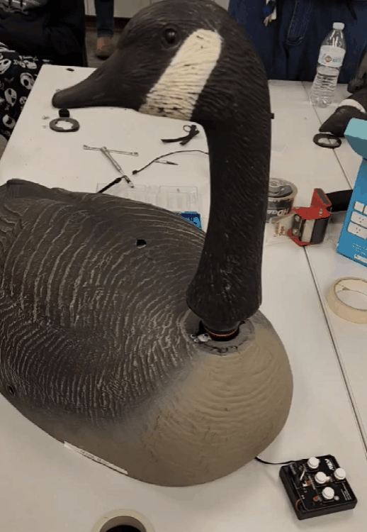GIF-231210_131215