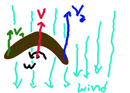 boomerang.jpg