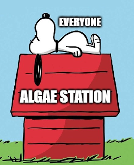 snoopy